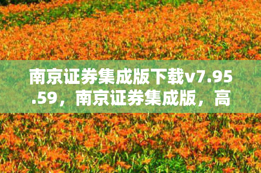 南京证券集成版下载v7.95.59，南京证券集成版，高效便捷的投资新选择