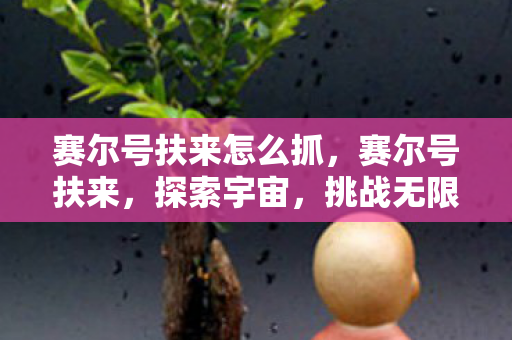 赛尔号扶来怎么抓，赛尔号扶来，探索宇宙，挑战无限