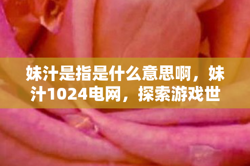 妹汁是指是什么意思啊，妹汁1024电网，探索游戏世界的无限可能