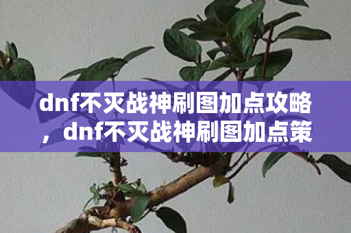 dnf不灭战神刷图加点攻略，dnf不灭战神刷图加点策略