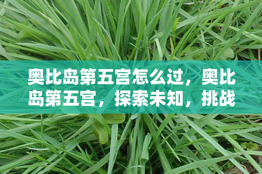 奥比岛第五宫怎么过，奥比岛第五宫，探索未知，挑战极限