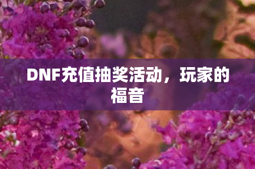 DNF充值抽奖活动，玩家的福音
