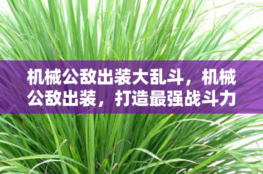 机械公敌出装大乱斗，机械公敌出装，打造最强战斗力的关键