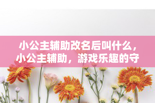 小公主辅助改名后叫什么，小公主辅助，游戏乐趣的守护者还是规则的挑战者？