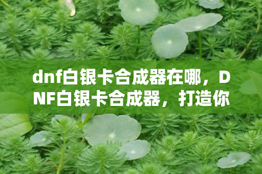 dnf白银卡合成器在哪，DNF白银卡合成器，打造你的专属神器