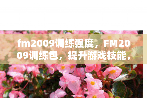 fm2009训练强度，FM2009训练包，提升游戏技能，打造专业级体验