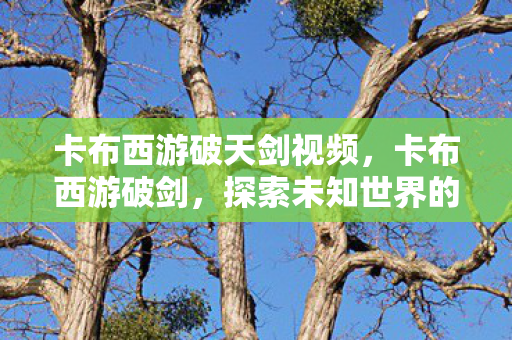 卡布西游破天剑视频，卡布西游破剑，探索未知世界的奇幻之旅