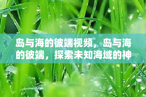 岛与海的彼端视频，岛与海的彼端，探索未知海域的神秘之旅