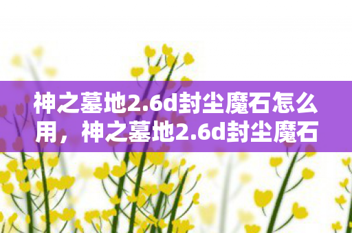神之墓地2.6d封尘魔石怎么用，神之墓地2.6d封尘魔石，探索未知世界的神秘之旅