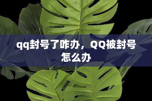 qq封号了咋办，QQ被封号怎么办