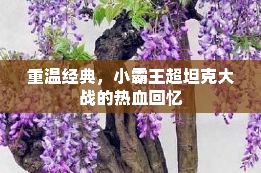 重温经典，小霸王超坦克大战的热血回忆