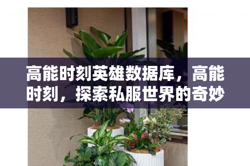 高能时刻英雄数据库，高能时刻，探索私服世界的奇妙之旅