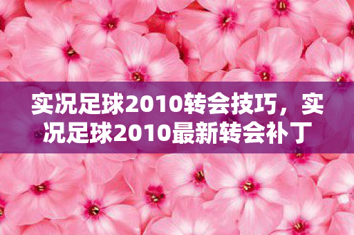 实况足球2010转会技巧，实况足球2010最新转会补丁，重塑绿茵赛场，打造梦幻阵容