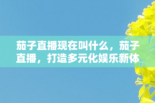 茄子直播现在叫什么，茄子直播，打造多元化娱乐新体验