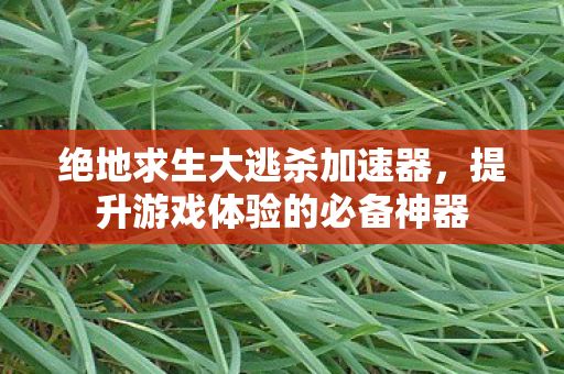 绝地求生大逃杀加速器，提升游戏体验的必备神器