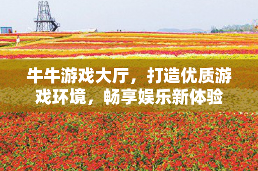 牛牛游戏大厅，打造优质游戏环境，畅享娱乐新体验