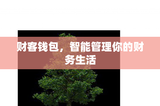 财客钱包，智能管理你的财务生活