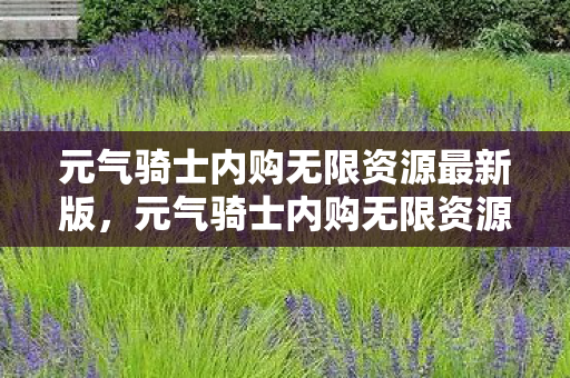 元气骑士内购无限资源最新版，元气骑士内购无限资源，解锁无限可能的秘密