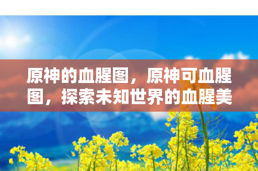 原神的血腥图，原神可血腥图，探索未知世界的血腥美学