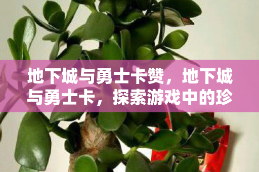 地下城与勇士卡赞，地下城与勇士卡，探索游戏中的珍贵宝藏