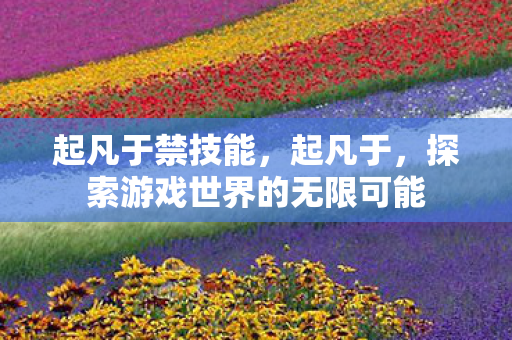 起凡于禁技能，起凡于，探索游戏世界的无限可能
