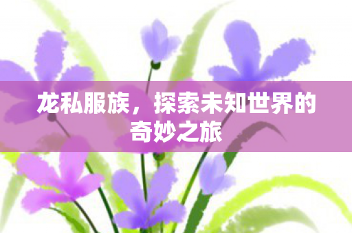 龙私服族，探索未知世界的奇妙之旅