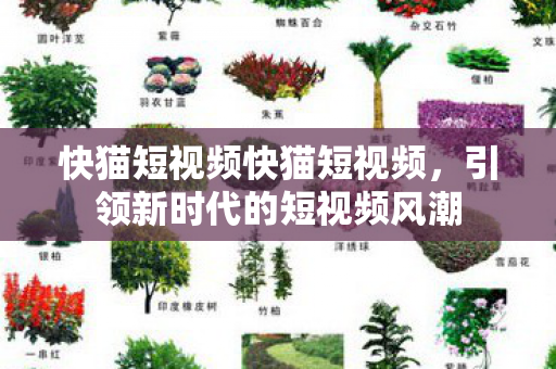 快猫短视频快猫短视频,引领新时代的短视频风潮 快猫短视频快猫短视频,引领新时代的短视频风潮