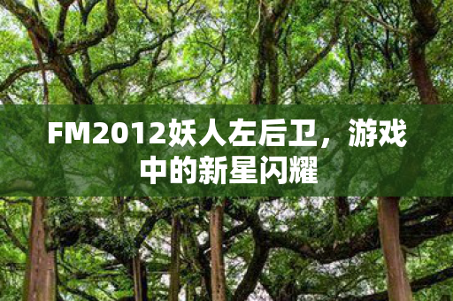 FM2012妖人左后卫，游戏中的新星闪耀