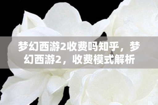 梦幻西游2收费吗知乎，梦幻西游2，收费模式解析