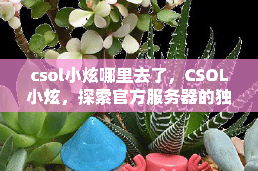 csol小炫哪里去了，CSOL小炫，探索官方服务器的独特魅力与无限可能