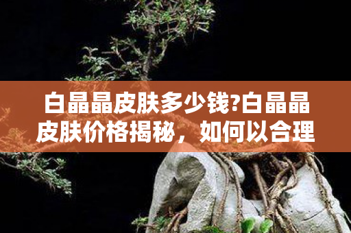 白晶晶皮肤多少钱?白晶晶皮肤价格揭秘，如何以合理价格获取心仪皮肤？