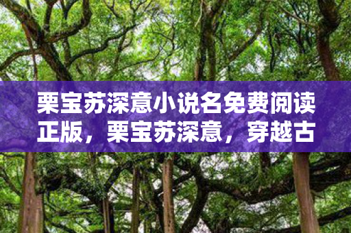 栗宝苏深意小说名免费阅读正版，栗宝苏深意，穿越古韵，探寻深意