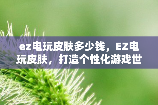 ez电玩皮肤多少钱，EZ电玩皮肤，打造个性化游戏世界的时尚配饰