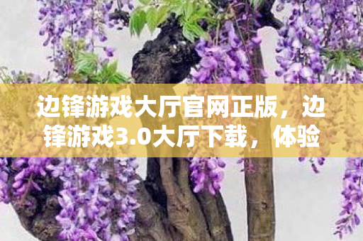 边锋游戏大厅官网正版，边锋游戏3.0大厅下载，体验全新升级，畅享经典游戏