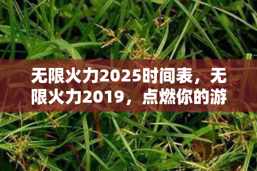 无限火力2025时间表，无限火力2019，点燃你的游戏激情