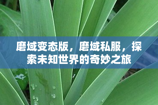 磨域变态版，磨域私服，探索未知世界的奇妙之旅