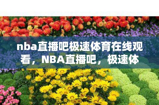 nba直播吧极速体育在线观看，NBA直播吧，极速体育，畅享篮球盛宴