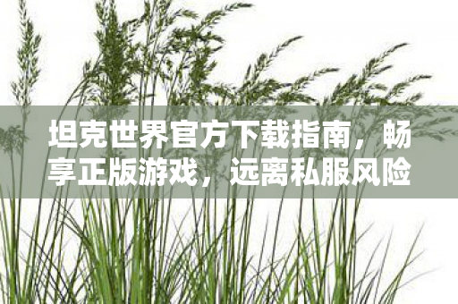 坦克世界官方下载指南，畅享正版游戏，远离私服风险
