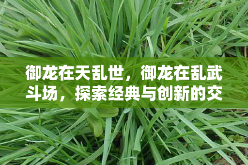 御龙在天乱世，御龙在乱武斗场，探索经典与创新的交汇点