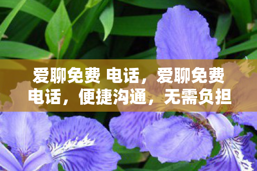 爱聊免费 电话，爱聊免费电话，便捷沟通，无需负担