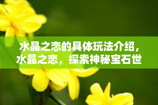 水晶之恋的具体玩法介绍，水晶之恋，探索神秘宝石世界的浪漫之旅
