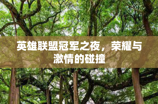 英雄联盟冠军之夜，荣耀与激情的碰撞