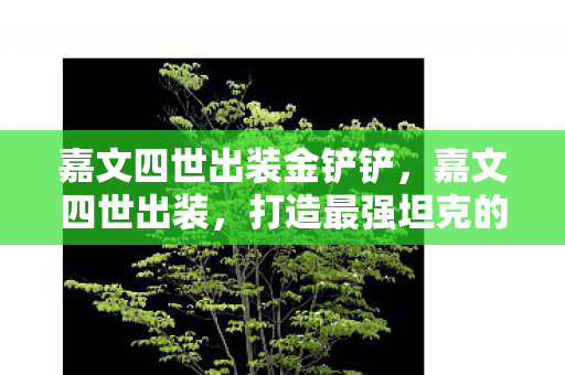 嘉文四世出装金铲铲，嘉文四世出装，打造最强坦克的秘诀