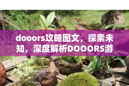 dooors攻略图文，探索未知，深度解析DOOORS游戏攻略