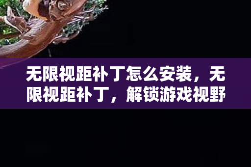 无限视距补丁怎么安装，无限视距补丁，解锁游戏视野的新维度