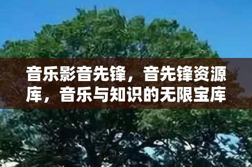 音乐影音先锋，音先锋资源库，音乐与知识的无限宝库