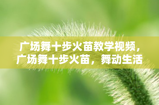 广场舞十步火苗教学视频，广场舞十步火苗，舞动生活的热情与活力