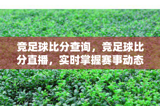竞足球比分查询，竞足球比分直播，实时掌握赛事动态，畅享足球盛宴