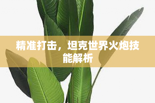 精准打击，坦克世界火炮技能解析