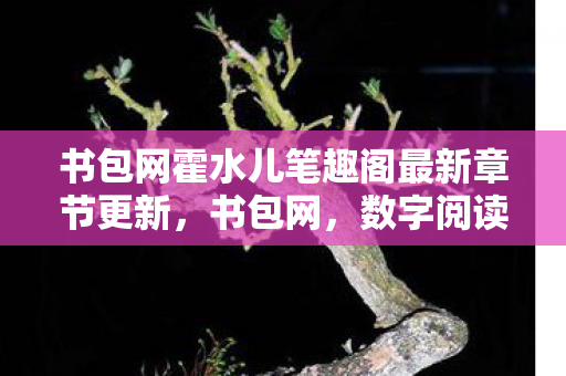 书包网霍水儿笔趣阁最新章节更新，书包网，数字阅读的绿色港湾
